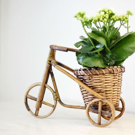 Apartment Nela ซาดาร์ ภายนอก รูปภาพ